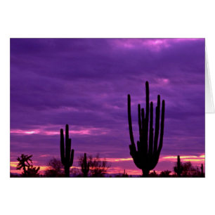 Sunset, Scottsdale, Arizona