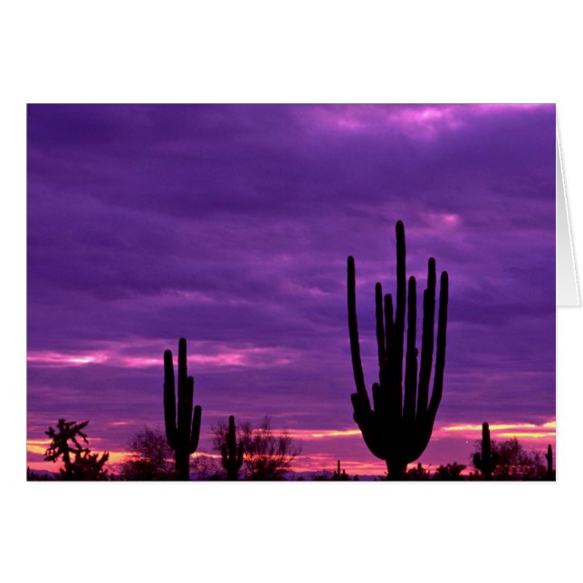 Sunset, Scottsdale, Arizona (Front Horizontal)