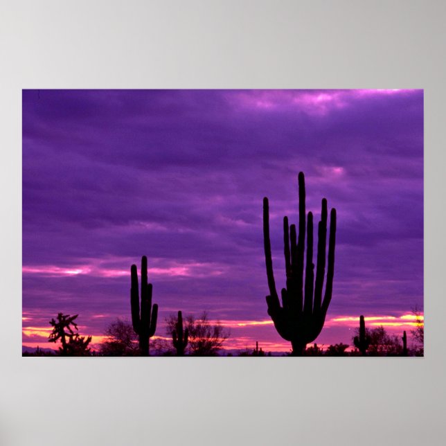 Sunset, Scottsdale, Arizona Poster (Front)