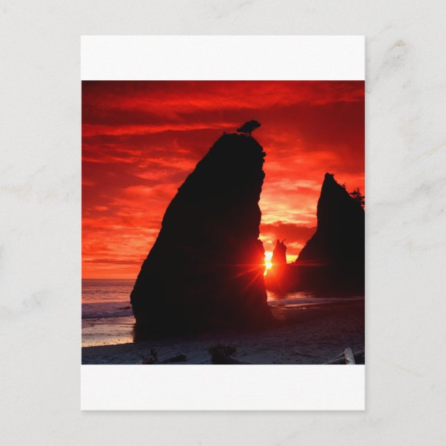Sunset Sea Stacks Blood Red Postcard (Front)