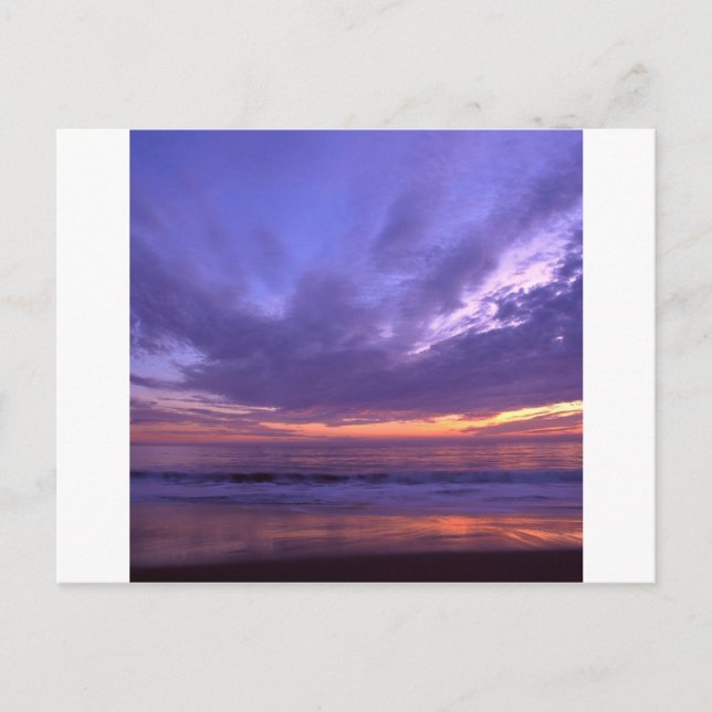 Sunset Seabright Santa Cruz California Postcard (Front)