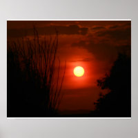 Sunset Serenade