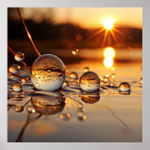 Sunset Serenity: Reflections of a Golden Hour