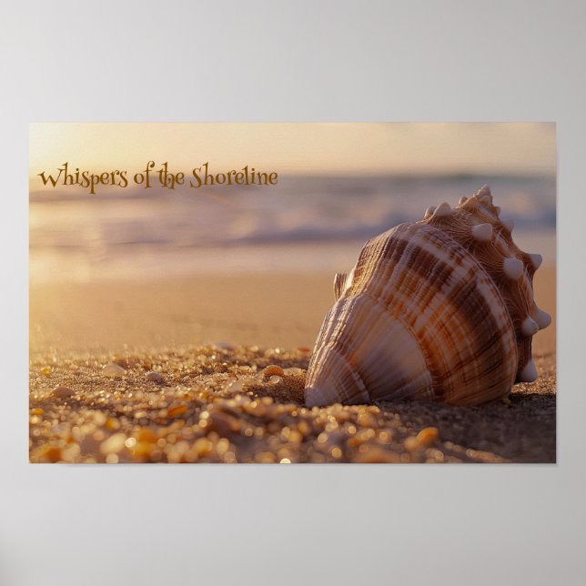 Sunset Serenity: Seashell on the Shore Poster (Front)