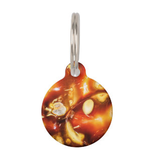Sunset Set in Stone  Pet Tag