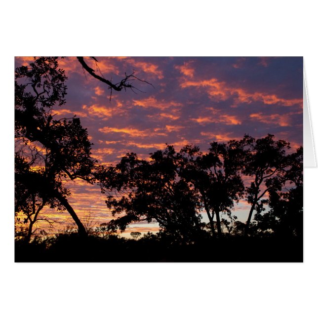 Sunset Silhouette (Front Horizontal)