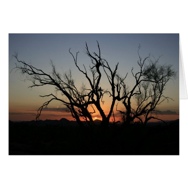 Sunset Silhouette (Front Horizontal)