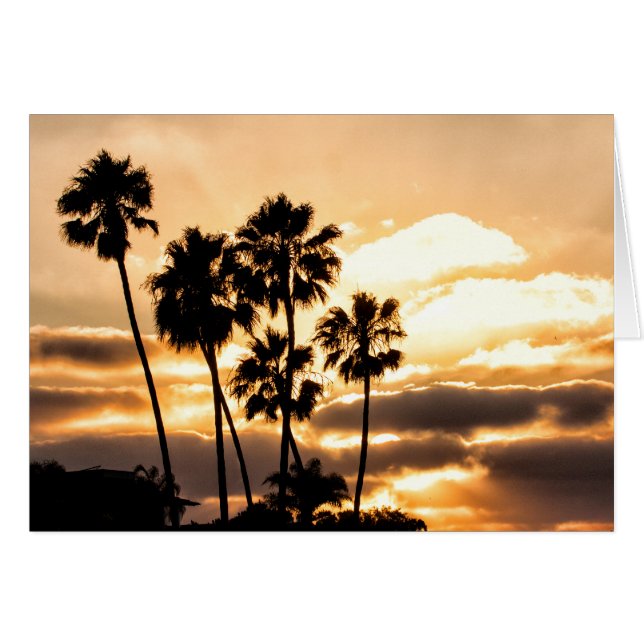 Sunset Silhouette In San Diego (Front Horizontal)