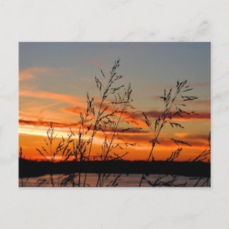 sunset silhouette postcard