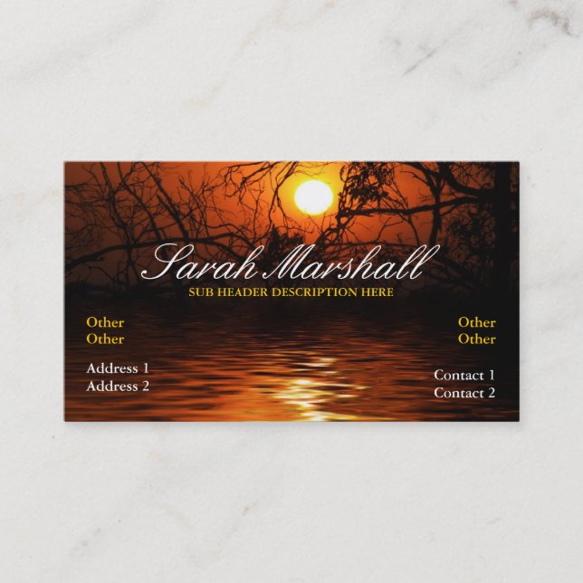 Sunset Silhouette Reflections Business Card (Front)