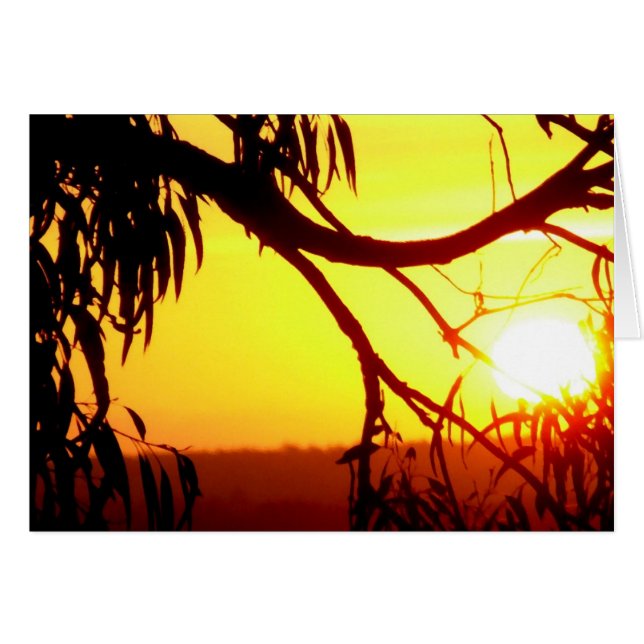 Sunset Silhouette Views Card (Front Horizontal)