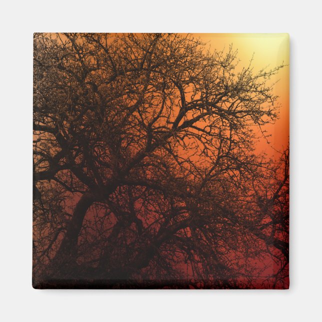 Sunset Silhouette Winter Tree Magnet (Front)