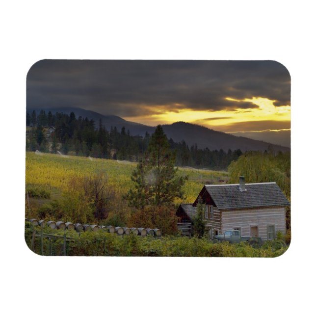 Sunset sky over vineyards and historic log cabin magnet (Horizontal)