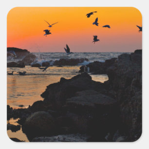 Sunset square sticker