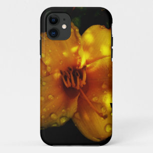 Sunset Stella iPhone 11 Case