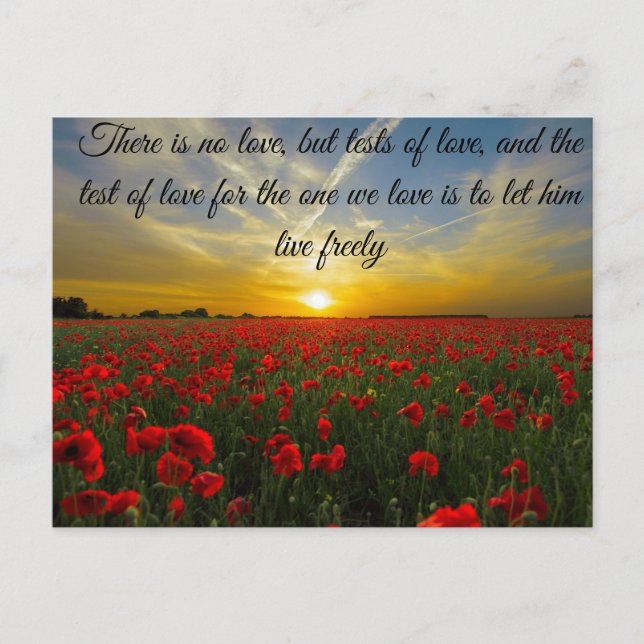 sunset sun postcard (Front)