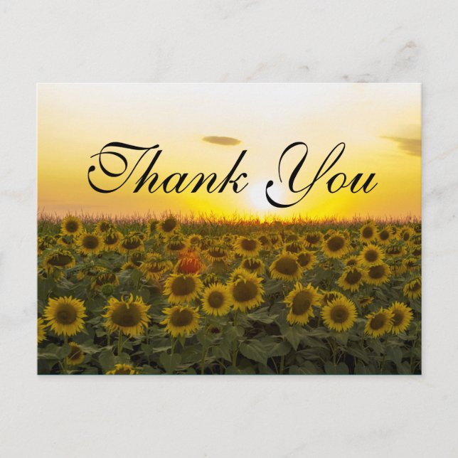 Sunset sunflowers Thank you card (Front)