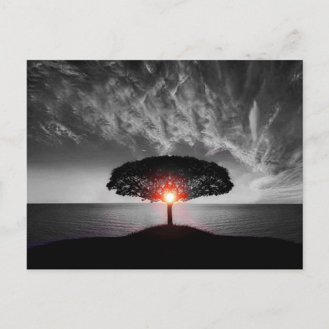  Sunset Sunrise Postcard (Front)