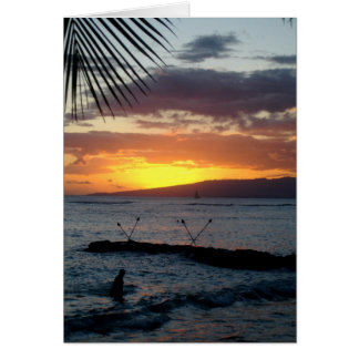 Sunset Swim