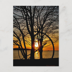 Sunset Through Art Postcard