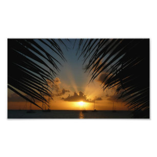 Sunset Through Palm Fronds Tropical Seascape Photo Print