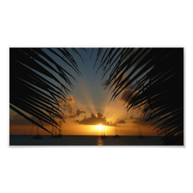 Sunset Through Palm Fronds Tropical Seascape Photo Print (Front)