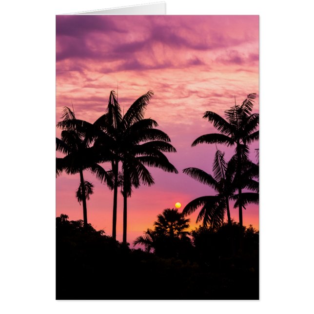 Sunset through Palm Trees (Front)