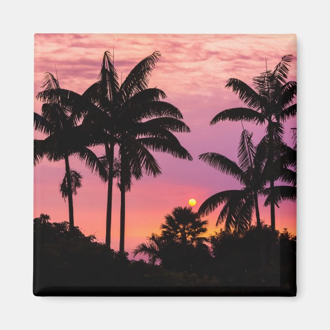 Sunset through Palm Trees Magnet (Front)