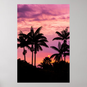 Sunset through Palm Trees Poster