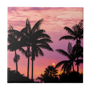 Sunset through Palm Trees Tile
