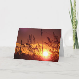 Sunset through Rye Field Blank Note Card