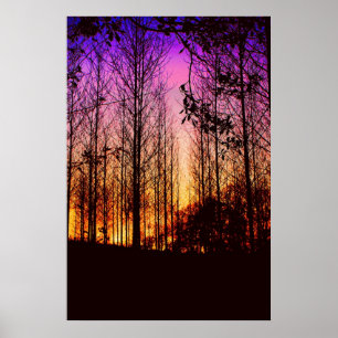 sunset through the trees colour changed poster