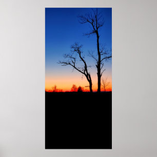 Sunset Through the Trees Poster