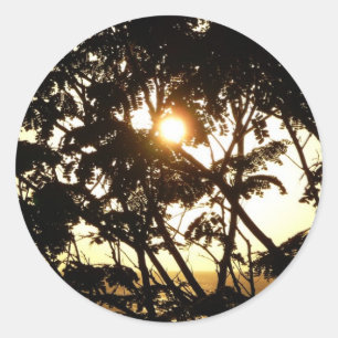 Sunset Through Trees I Tropical Photography Classic Round Sticker