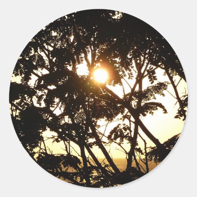 Sunset Through Trees I Tropical Photography Classic Round Sticker (Front)