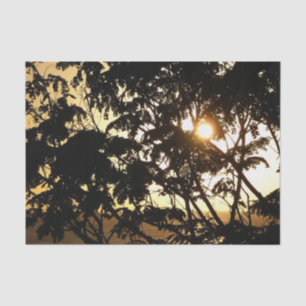 Sunset Through Trees I Tropical Photography Tissue Paper