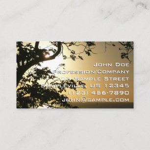 Sunset Through Trees II Business Card