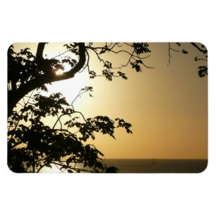 Sunset Through Trees II Tropical Photography Magnet
