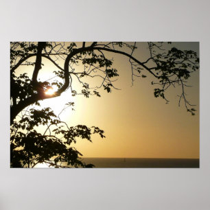 Sunset Through Trees II Tropical Photography Poster