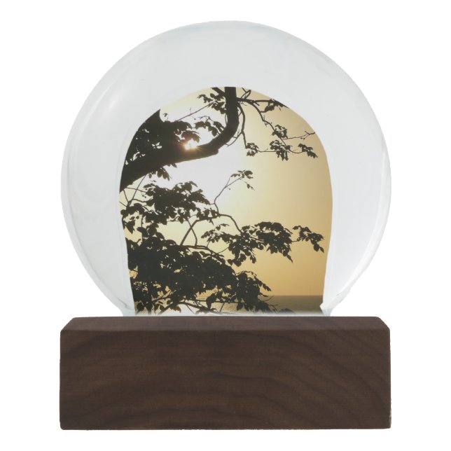 Sunset Through Trees II Tropical Photography Snow Globe (Front)