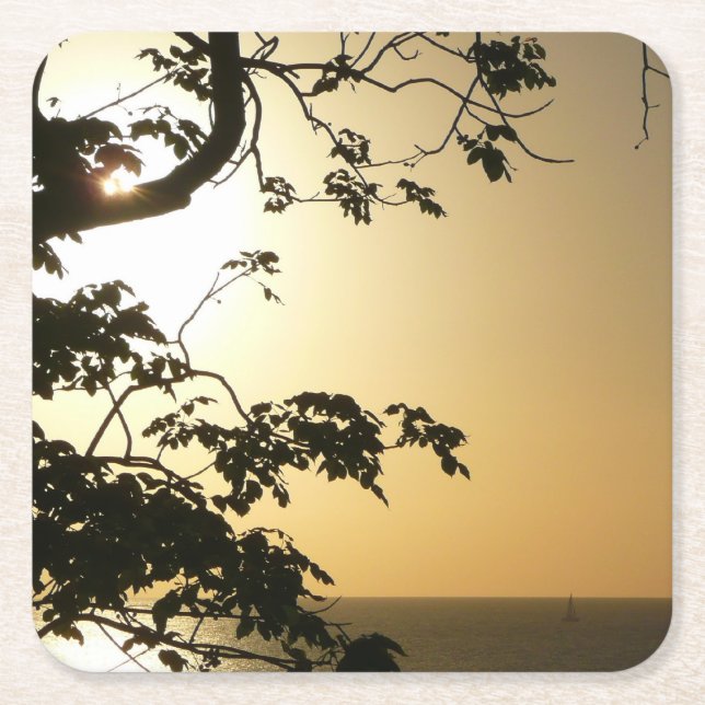Sunset Through Trees II Tropical Photography Square Paper Coaster (Front)