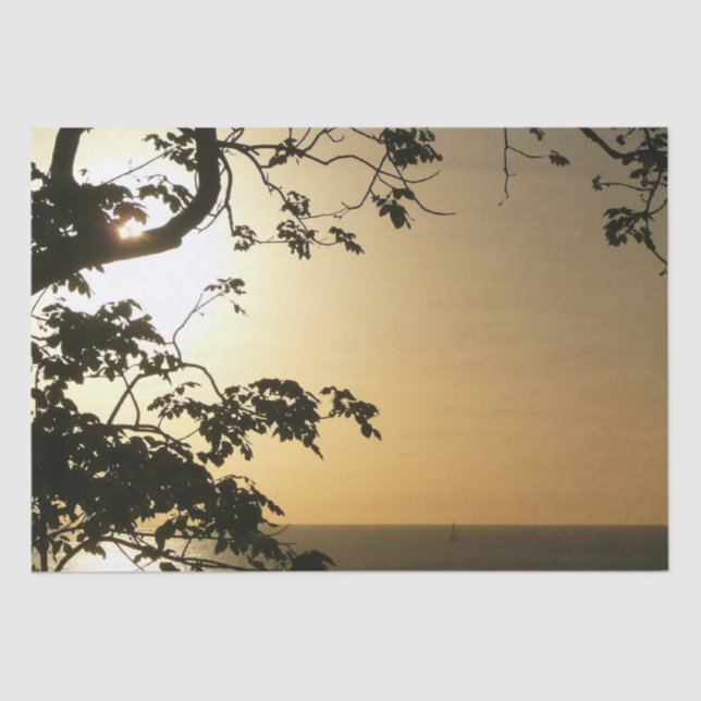 Sunset Through Trees II Tropical Photography Tissue Paper (Front)