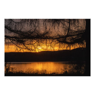Sunset Through Trees Photo Print