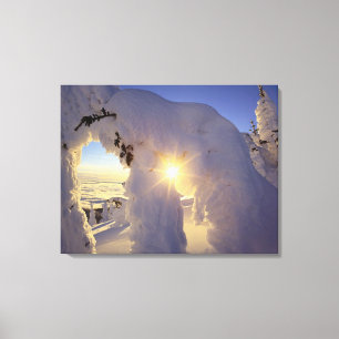 Sunset thru the Snowghosts at Big Mountain near Canvas Print