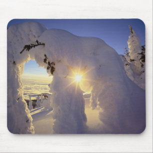 Sunset thru the Snowghosts at Big Mountain near Mouse Mat