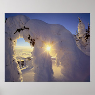 Sunset thru the Snowghosts at Big Mountain near Poster