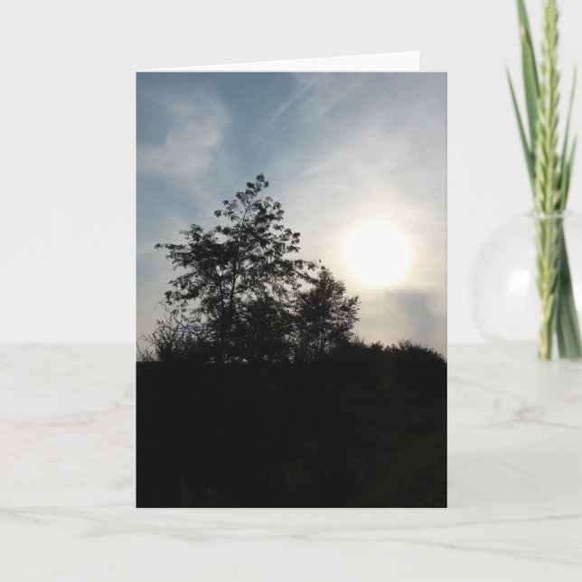 Sunset Tree Card (Front)