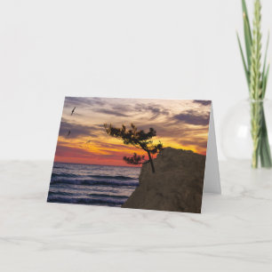 Sunset Tree Father's Day Card