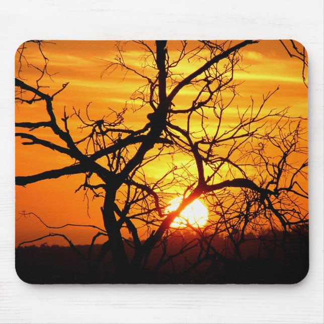 Sunset Tree Silhouette Mousepads (Front)