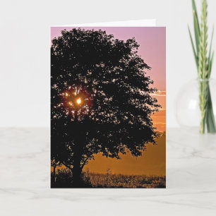 Sunset Tree Sympathy  Card